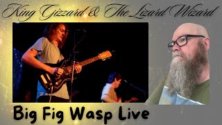 King Gizzard amp the Lizard Wizard  Big Fig Wasp Live 2016 [upl. by Itsa]