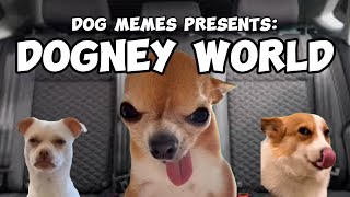 DOG MEMES TO DOGNEY WORLD PT1 [upl. by Toy661]