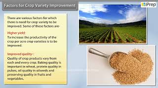 Factors for Crop Variety Improvement  Improvement in Food Resources  Science  Class 9th  iPrep [upl. by Zoltai]