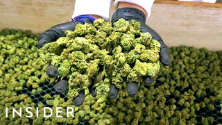 How Lowell Herb Co Makes 4 Million Joints A Year [upl. by Cynar]