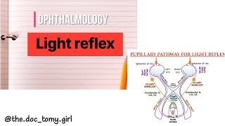 Light reflex Pupillary pathway Direct amp Indirect light reflex [upl. by Rocher]