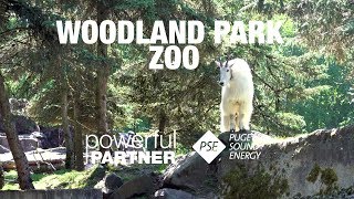 Powerful Partner  Woodland Park Zoo [upl. by Ejroj]