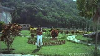 Thodu Dongalu Movie Songs  All Songs Compilation  Chiranjeevi amp Krishna [upl. by Eisej]