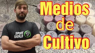 CURSO DE 🟢MEDIOS DE CULTIVO🧫🧪CURSO DE CULTIVO DE SETAS Y HONGOS [upl. by Graff64]