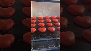 Macarons baking in the oven time lapse So satisfying baking cakedecorating [upl. by Moises]