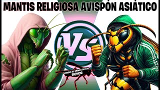 MANTIS RELIGIOSA VS AVISPÓN ASIÁTICO [upl. by Notsnhoj962]