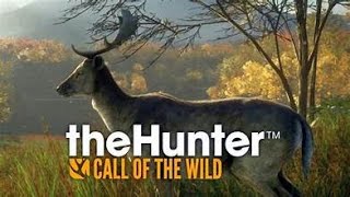 theHunter Call of the Wild [upl. by Penney10]