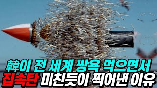 한국이 전 세계 비난을 감수하면서 전쟁범죄급 무기 집속탄을 미친 듯이 찍어내는 이유 [upl. by Ahsiekan789]