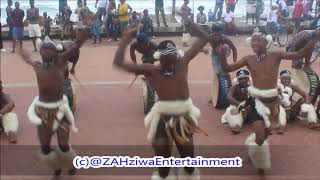 Dopest Zulu Indlamu Traditional Dance Moves Zebras [upl. by Omidyar392]