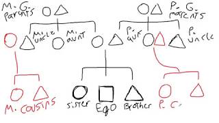 Introduction to Kinship Diagrams  Cultural Anthropology [upl. by Adnolrehs733]