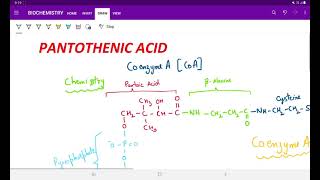 COENZYME A PANTOTHENIC ACID [upl. by Eimmat]