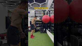 Serratus Anterior Exercise 1  Rehab復康 [upl. by Slocum]