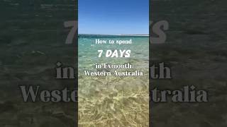 How to spend 7 days in Exmouth Western Australia itinerary Snorkelling Whale Sharks Turtles [upl. by Elwin]