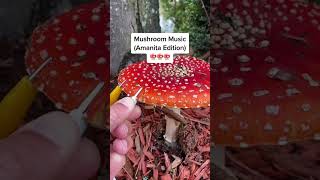 Modern Biology  Amanita mushroom music 🍄 mushroom plants synth bioelectricity [upl. by Iduj]