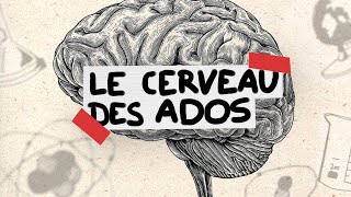 Le cerveau des ados expliqué en 3 minutes [upl. by Dalia]