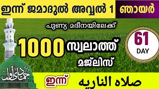 ഇന്ന് ജമാദുൽ അവ്വൽ 1 ഞായർ പുണ്യ മദീനയിലേക്ക്1000 സ്വലാത്തിലേക്ക് swalathul Nariyah [upl. by Zsazsa]