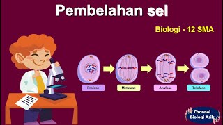 Pembelahan sel  Biologi kelas 12 SMA [upl. by Wertheimer543]