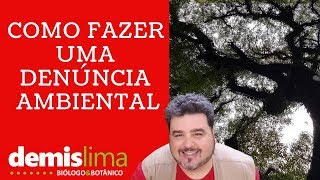 Como fazer uma denúncia ambiental [upl. by Yliah998]