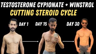 How to use Testosterone Cypionate amp Stanozolol Steroid Cycle for lean muscle gaining [upl. by Neyrb]