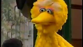 Sesame Street Gina amp Carlo Have New Jobs New HD [upl. by Berners]