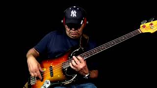 Bireli Lagrene  Sunny Fretless Bass Jazz Solo [upl. by Kapoor388]