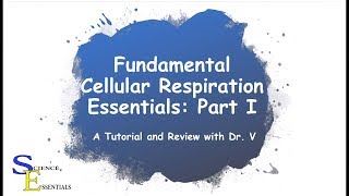 Cellular Metabolism Essentials Part I  Dr V [upl. by Bride484]