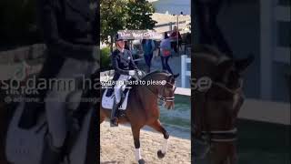 Show jumping vs Dressage 🐴💕 capcut dressage showjumping slowmo edit equestrian trending fy [upl. by Je]