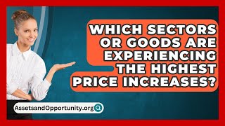 Which Sectors or Goods Are Experiencing the Highest Price Increases  AssetsandOpportunityorg [upl. by Aneehs480]