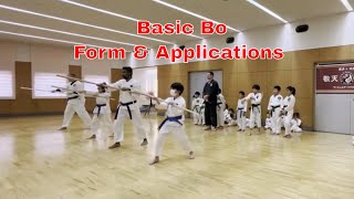 Bo Staff Training Basics Level 1 [upl. by Noeruat]