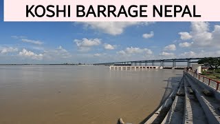 Koshi barrage nepal [upl. by Peggi]