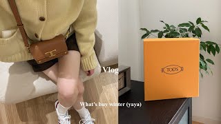 Vlog新しいバッグと服の購入品ZARADholicTod’s [upl. by Lehplar113]