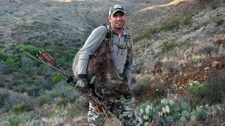 S7 E12 Longbow Javelina hunt and Aoudad Sheep with Boyd Burnett of SOLO HNTR [upl. by Dahaf]