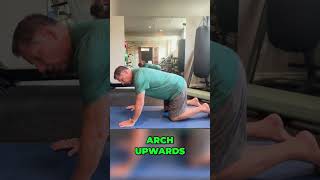 Cat Camel Stretch for Back Pain Disc Bulges and Spinal Mobility  Dr John Zielonka [upl. by Attelra562]