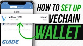 VeChain Ledger Nano S Wallet Guide [upl. by Aisan185]