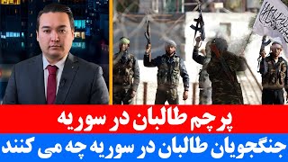 خبر مخالفان بشار اسد با پرچم طالبان آیا پای افغان‌ها در میان است [upl. by Einneg]