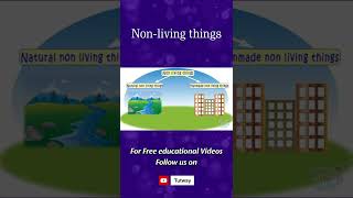 संसार का दर्शनliving non living things biology schoolexam [upl. by Aicekal]