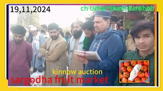 19112024 ch Umar Shani kamboh is engaged in Kinnow auction  known as ch Tahir kombow amp sons [upl. by Reinhold]