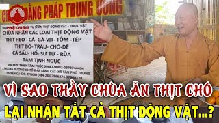 Vì sao Thầy chùa ăn thịt chó lại nhận tất cả thịt động vật sư tử Như vậy có đúng không  PGVN [upl. by Nosnev141]