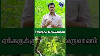 முருங்கையில எல்லாமே லாபம்தான்  Surya Balaji  Tree farming in tamil  Murungai valarppu farmer [upl. by Eldrid]