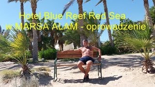 Marsa Alam  opis hotelu Blue Reef [upl. by Kanya]