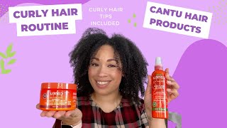 Curly Hair Routine  Cantu Coily Detangler and Cantu Coconut Curling Cream [upl. by Trebuh702]