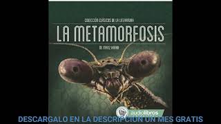 La MetamorfosisaudiolibroFranz Kafka [upl. by Meehan]