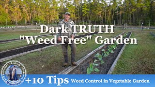 The DARK TRUTH about quotWeedFreequot Garden [upl. by Bagley883]