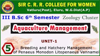 5 BSc 36 Aquaculture Management Breeding amp Hatchery Mgmt of Penaeus Monodon Litopenaeus Vannamei [upl. by Attolrac]