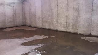 Everdry Waterproofing fixes wet moldy amp humid basements [upl. by Nwavahs]