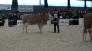 Simmentaler Eliteschau 2012 Misswahl Junior [upl. by Elset]