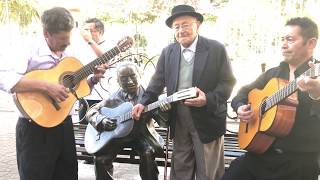 CANCION SOLO Interpretado por Roman Lescano  Fernando Tipan  Nicolas Fiallos [upl. by Pineda]