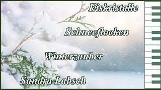 Eiskristalle Schneeflocken Winterzauber  Sandra Labsch [upl. by Blair125]