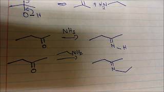 Hydrolysis of Imines Reaction and Mechanism Plus The Formation of Enamines [upl. by Fatimah]