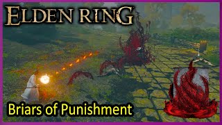 Briars of Punishment  Gameplay  Elden Ring [upl. by Felizio337]